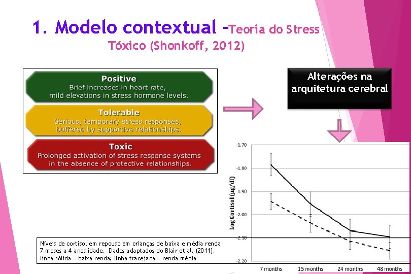 1. Modelo contextual –Teoria do Stress Tóxico (Shonkoff, 2012) Alterações na arquitetura cerebral 37