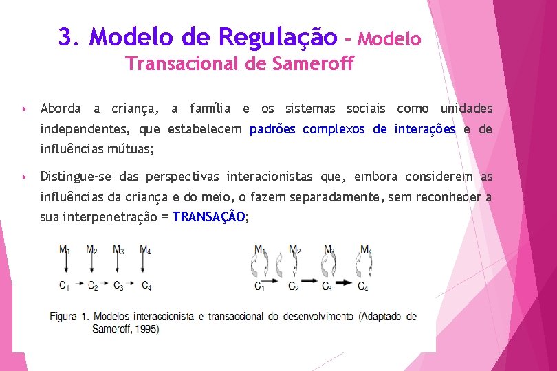 3. Modelo de Regulação – Modelo Transacional de Sameroff ▶ Aborda a criança, a