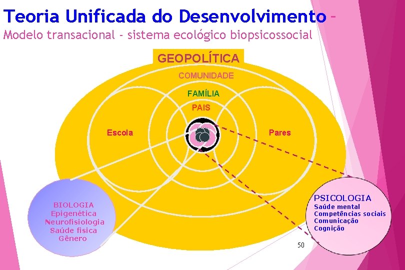 Teoria Unificada do Desenvolvimento – Modelo transacional - sistema ecológico biopsicossocial GEOPOLÍTICA COMUNIDADE FAMÍLIA