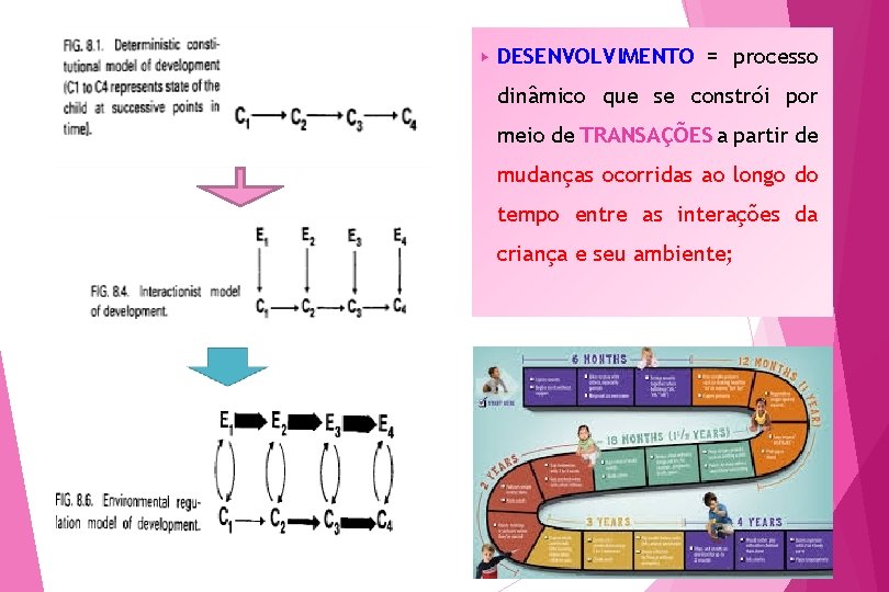 ▶ DESENVOLVIMENTO = processo dinâmico que se constrói por meio de TRANSAÇÕES a partir