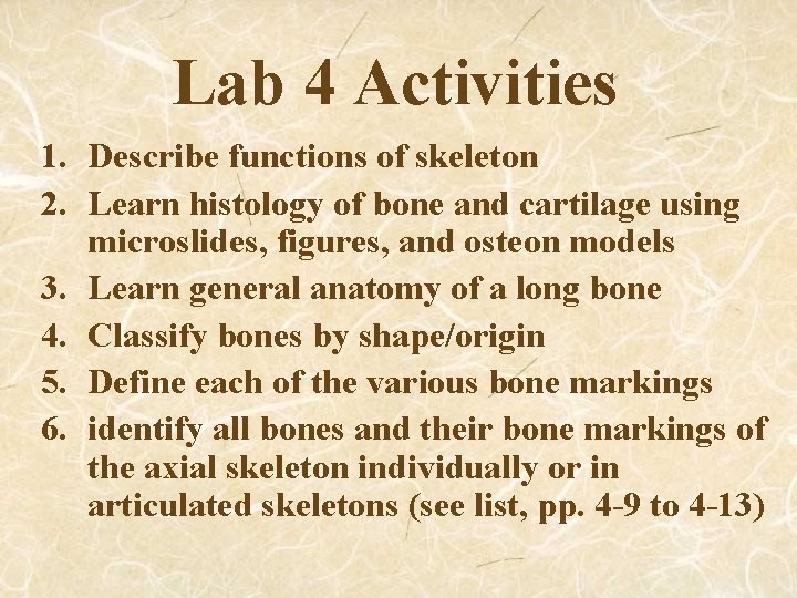 Lab 4 Activities 1. Describe functions of skeleton 2. Learn histology of bone and