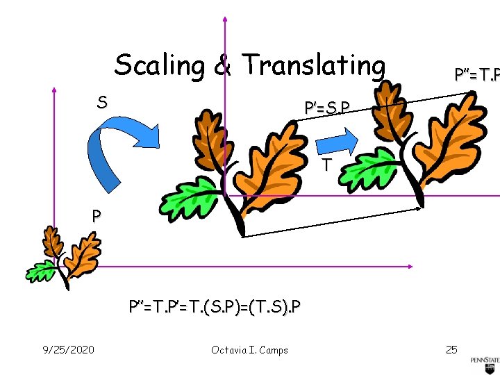Scaling & Translating S P’’=T. P P’=S. P T P P’’=T. P’=T. (S. P)=(T.