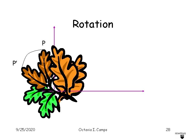 Rotation P P’ 9/25/2020 Octavia I. Camps 28 