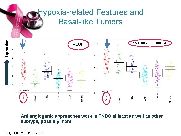 Expression Hypoxia-related Features and Basal-like Tumors VEGF 13 -gene VEGF-signature • Antiangiogenic approaches work