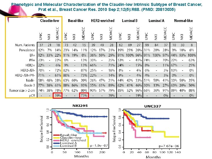 Phenotypic and Molecular Characterization of the Claudin-low Intrinsic Subtype of Breast Cancer, Prat et