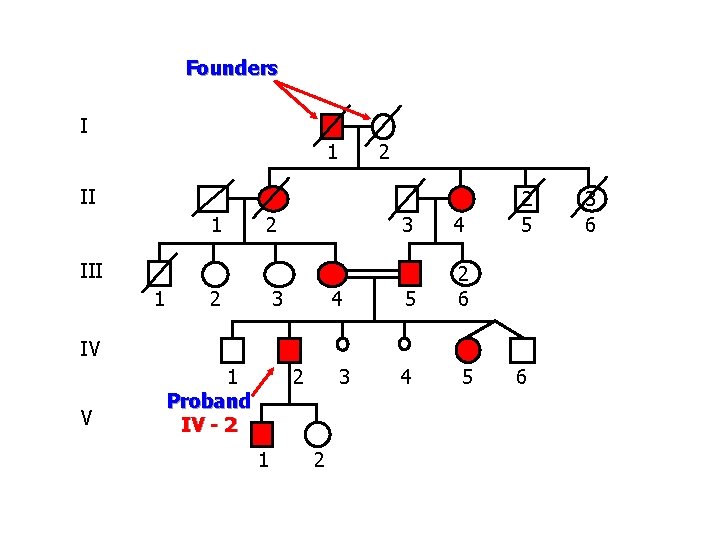 Founders I 1 2 II 1 2 3 4 5 2 6 4 5