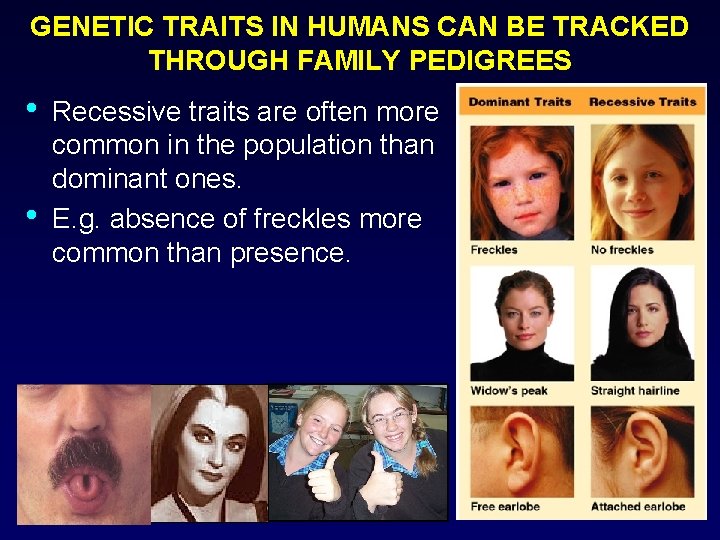 GENETIC TRAITS IN HUMANS CAN BE TRACKED THROUGH FAMILY PEDIGREES • • Recessive traits