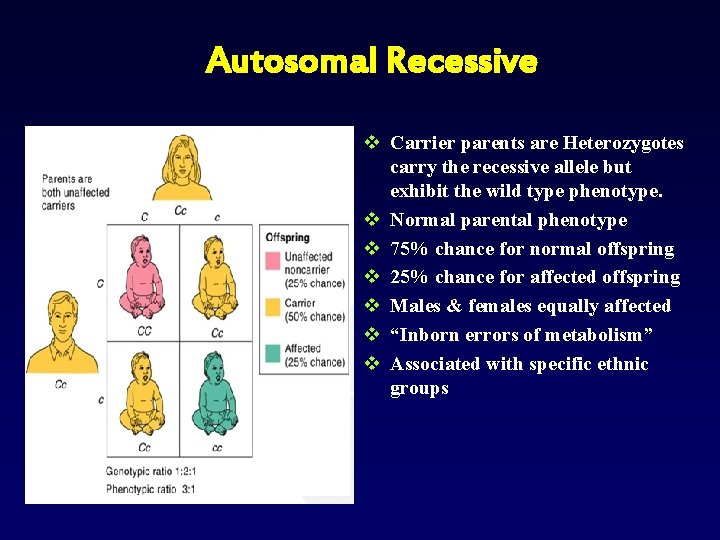 Autosomal Recessive v Carrier parents are Heterozygotes carry the recessive allele but exhibit the