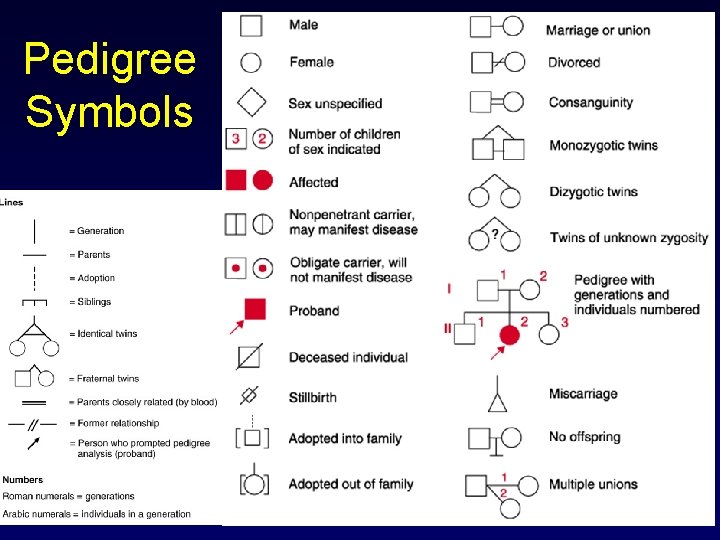 Pedigree Symbols 