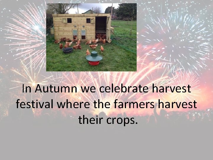 In Autumn we celebrate harvest festival where the farmers harvest their crops. 