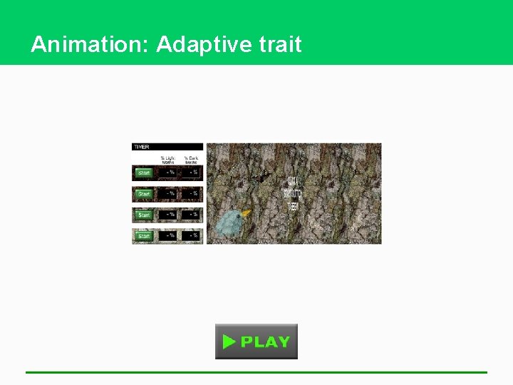 Animation: Adaptive trait 