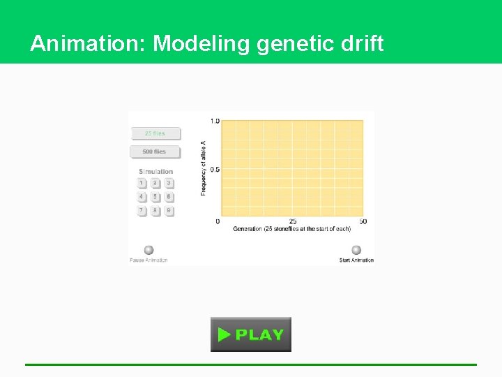 Animation: Modeling genetic drift 