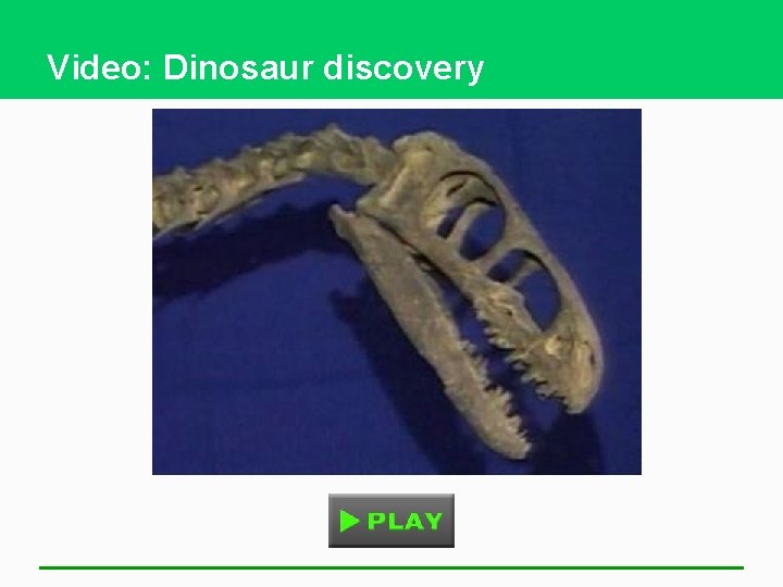 Video: Dinosaur discovery 