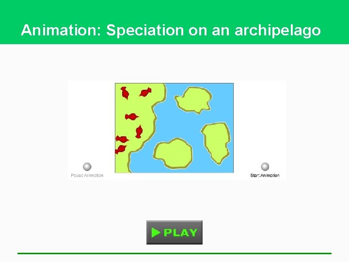Animation: Speciation on an archipelago 