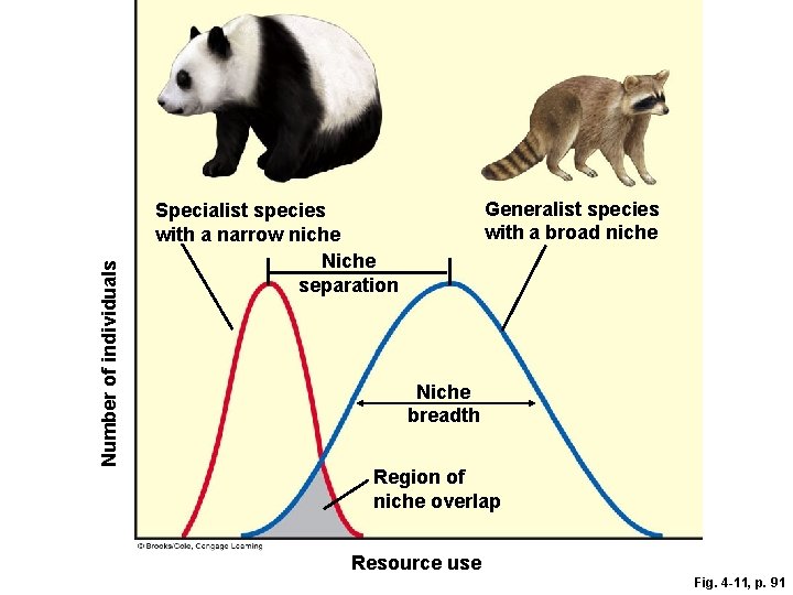 Number of individuals Generalist species with a broad niche Specialist species with a narrow