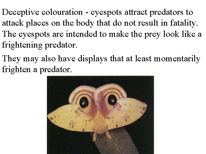 Deceptive colouration - eyespots attract predators to attack places on the body that do