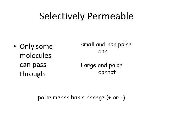 Selectively Permeable • Only some molecules can pass through small and non polar can