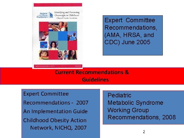 Expert Committee Recommendations, (AMA, HRSA, and CDC) June 2005 Current Recommendations & Guidelines Expert