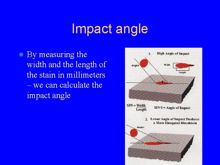 Impact angle l By measuring the width and the length of the stain in