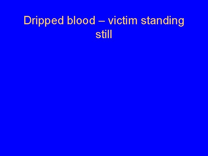 Dripped blood – victim standing still 