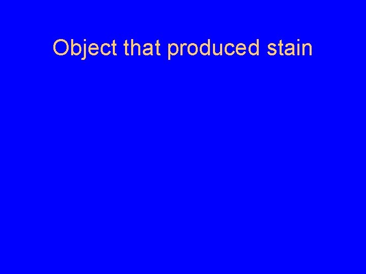 Object that produced stain 