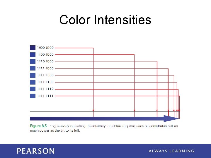 Color Intensities 