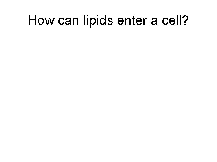 How can lipids enter a cell? 
