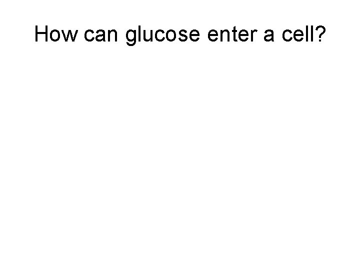 How can glucose enter a cell? 