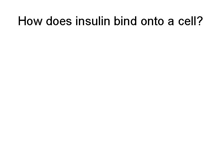 How does insulin bind onto a cell? 
