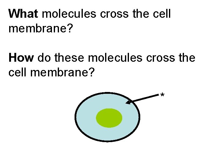 What molecules cross the cell membrane? How do these molecules cross the cell membrane?