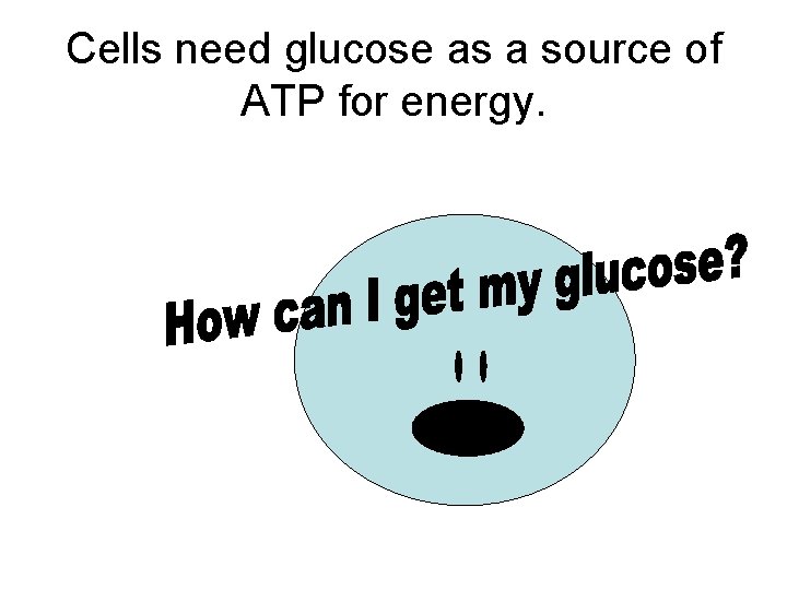 Cells need glucose as a source of ATP for energy. 