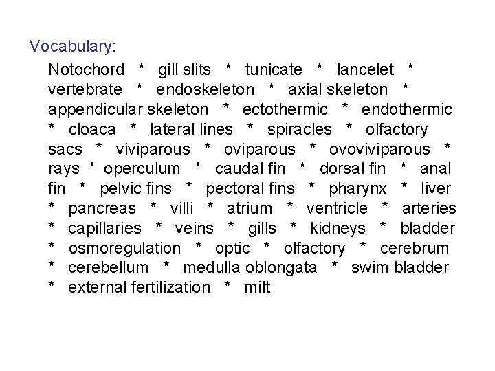 Vocabulary: Notochord * gill slits * tunicate * lancelet * vertebrate * endoskeleton *