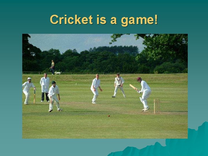 Cricket is a game! 