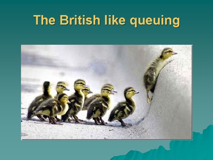The British like queuing 