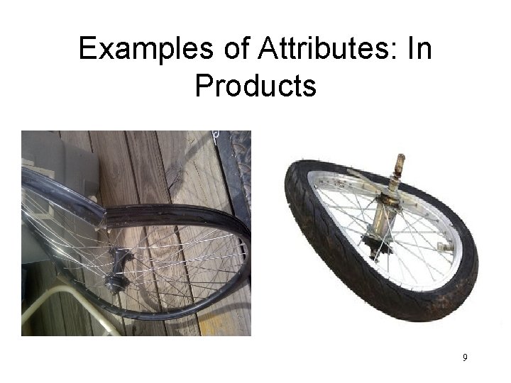 Examples of Attributes: In Products 9 Examples of Attributes: In Products 9