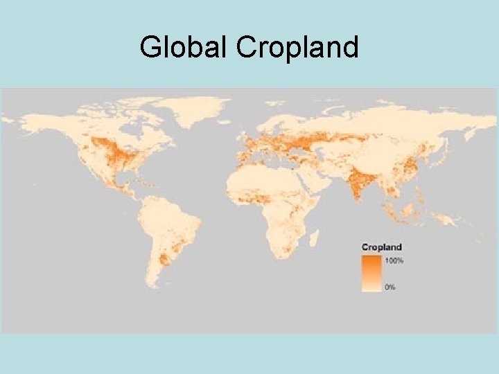 Global Cropland 