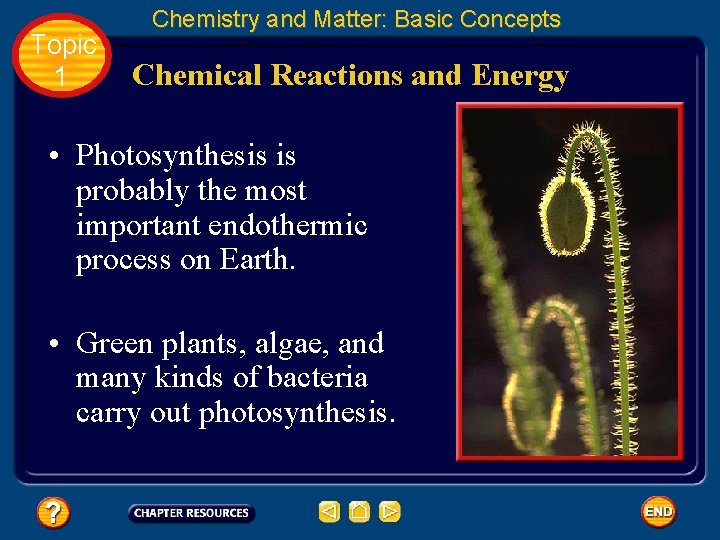 Topic 1 Chemistry and Matter: Basic Concepts Chemical Reactions and Energy • Photosynthesis is