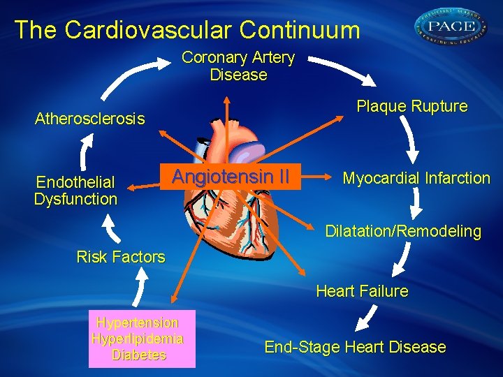 The Cardiovascular Continuum Coronary Artery Disease Plaque Rupture Atherosclerosis Endothelial Dysfunction Angiotensin II Myocardial