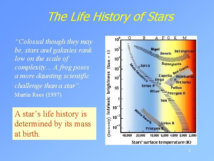 The Life History of Stars “Colossal though they may be, stars and galaxies rank