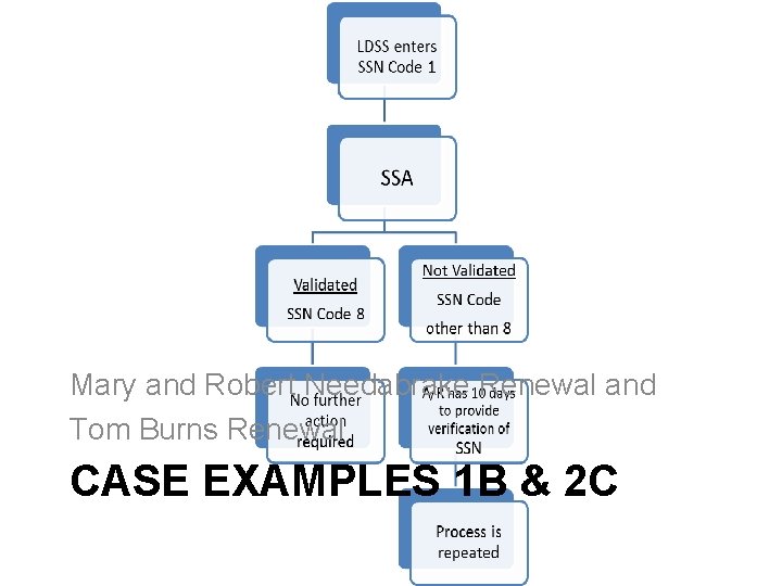 Mary and Robert Needabrake Renewal and Tom Burns Renewal CASE EXAMPLES 1 B &