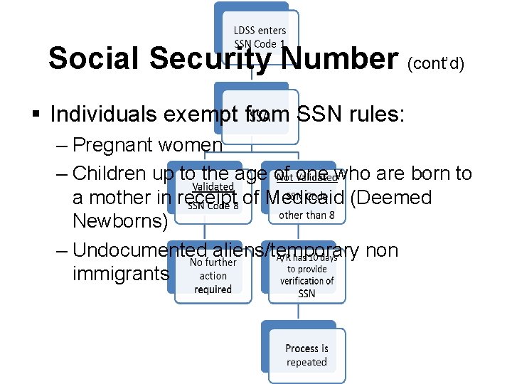 Social Security Number (cont’d) § Individuals exempt from SSN rules: – Pregnant women –
