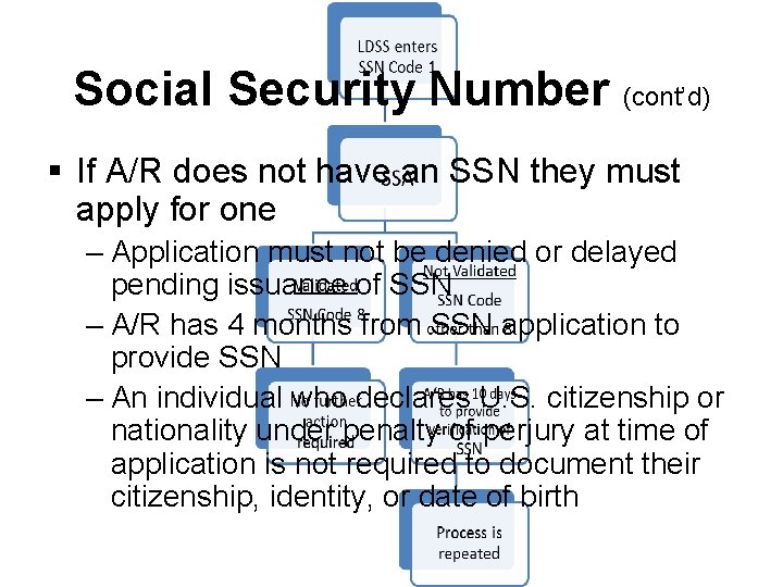 Social Security Number (cont’d) § If A/R does not have an SSN they must