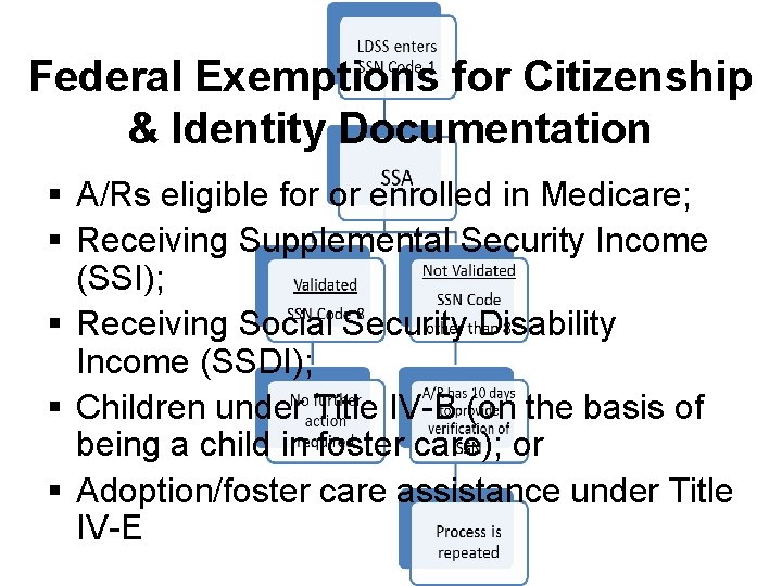 Federal Exemptions for Citizenship & Identity Documentation § A/Rs eligible for or enrolled in