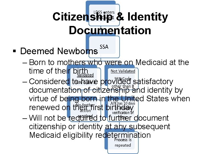 Citizenship & Identity Documentation § Deemed Newborns – Born to mothers who were on