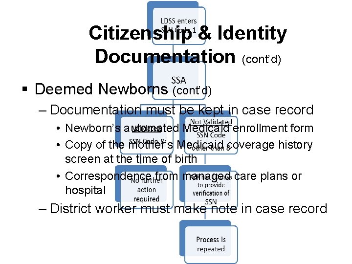Citizenship & Identity Documentation (cont’d) § Deemed Newborns (cont’d) – Documentation must be kept