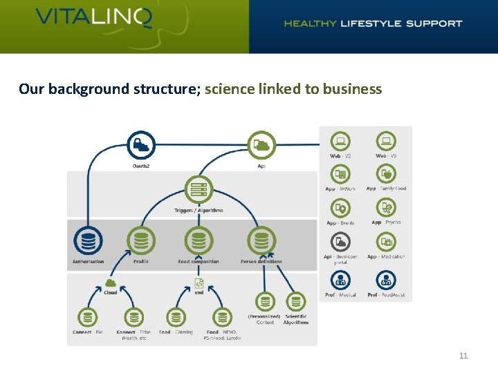 Our background structure; science linked to business 11 