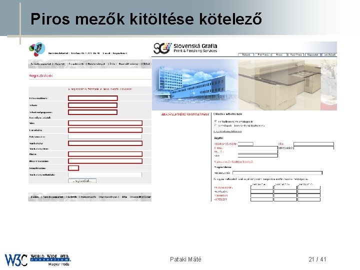 Piros mezők kitöltése kötelező DSD Pataki Máté 21 / 41 