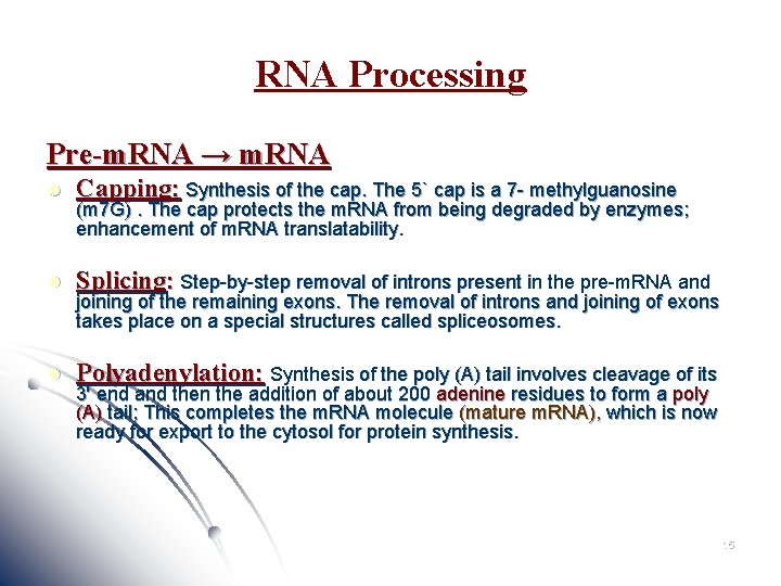 RNA Processing Pre-m. RNA → m. RNA l Capping: Synthesis of the cap. The