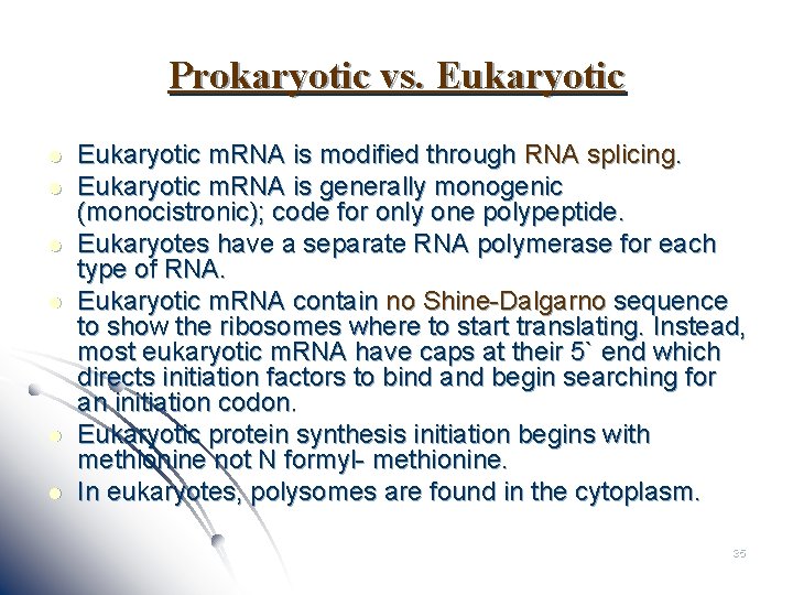 Prokaryotic vs. Eukaryotic l l l Eukaryotic m. RNA is modified through RNA splicing.