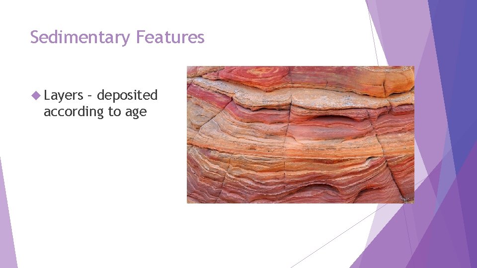 Sedimentary Features Layers – deposited according to age 
